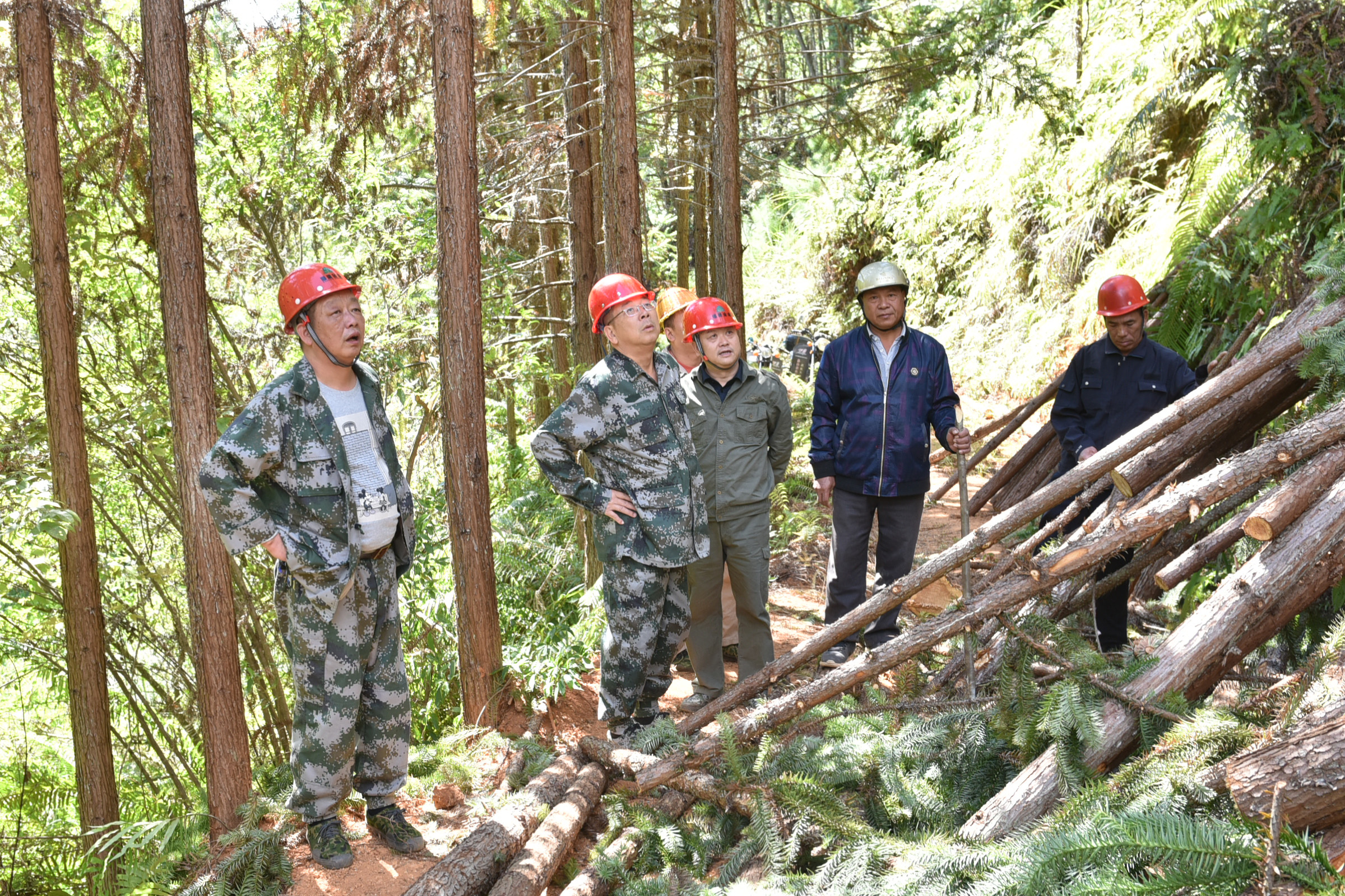 福建金森林長(zhǎng)深入開(kāi)展巡林督導(dǎo)工作