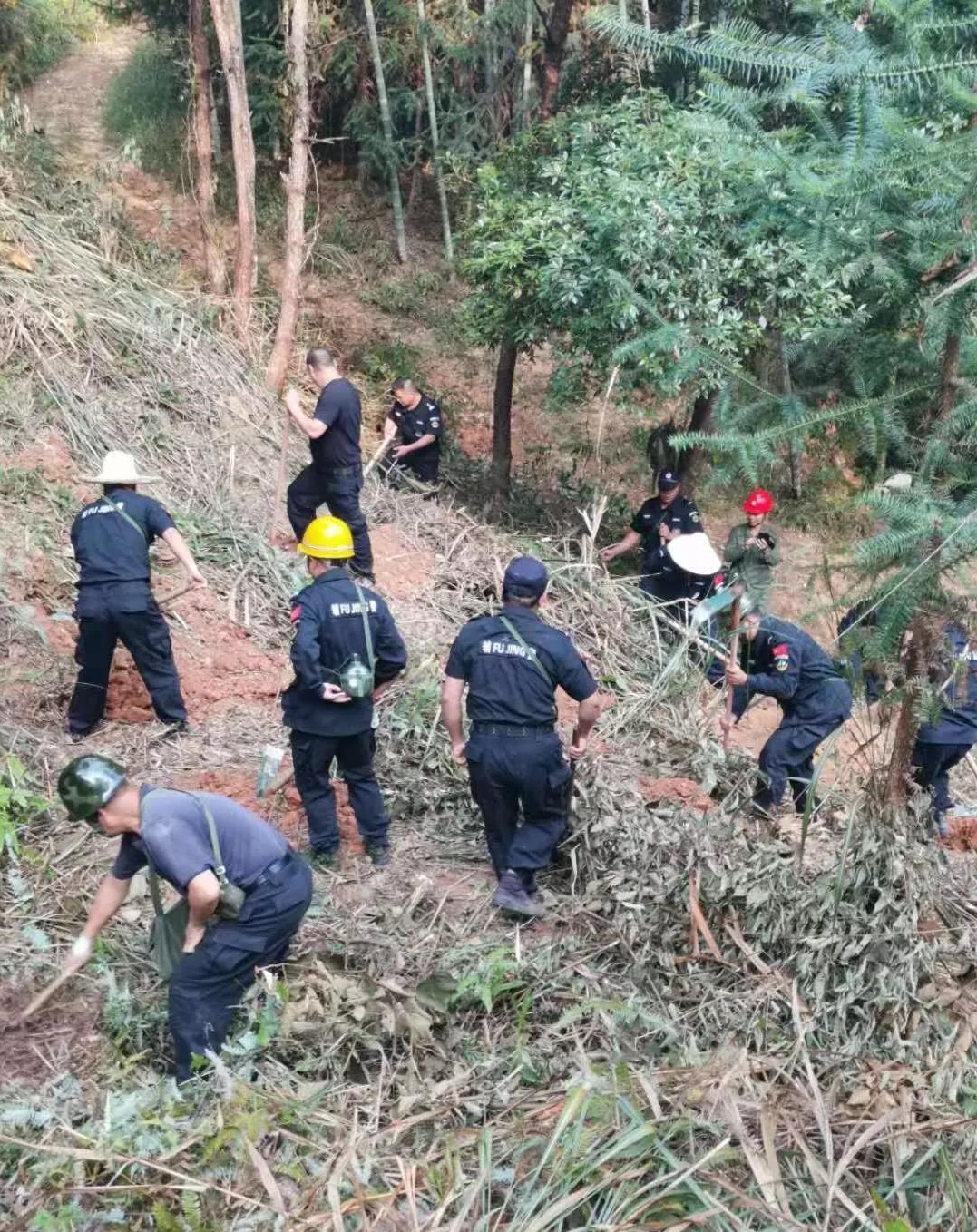 干好每一天|青山掛白我復(fù)綠，無私奉獻(xiàn)金森人——資源保護(hù)部義務(wù)突擊隊(duì)工作記實(shí)