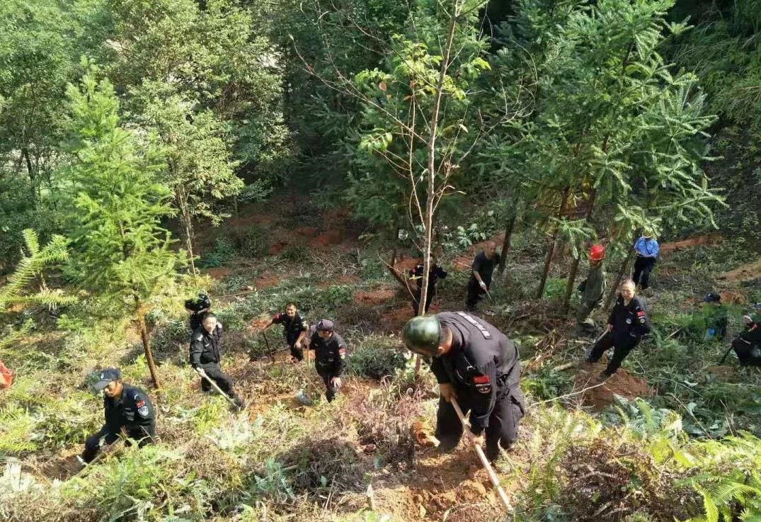 干好每一天|青山掛白我復(fù)綠，無私奉獻(xiàn)金森人——資源保護(hù)部義務(wù)突擊隊(duì)工作記實(shí)