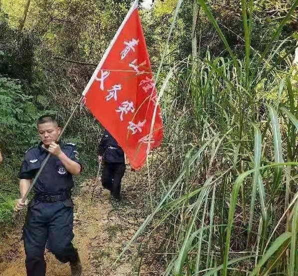 干好每一天|青山掛白我復(fù)綠，無私奉獻(xiàn)金森人——資源保護(hù)部義務(wù)突擊隊(duì)工作記實(shí)